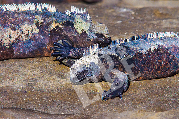 PuertoEgas_130_20131110B