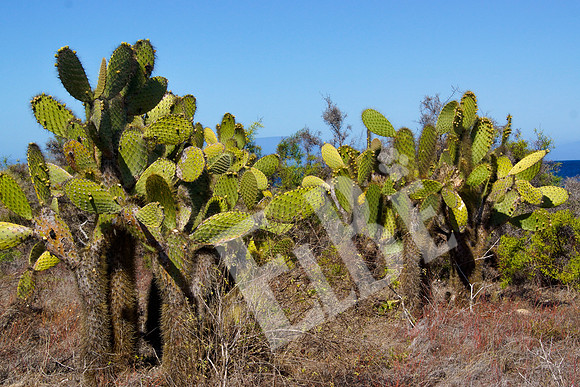 PuertoEgas_417_20131110P