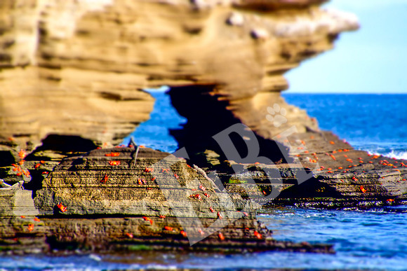 PuertoEgas_181_20131110P