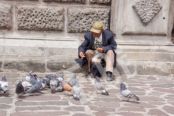Quito_216_20131109P