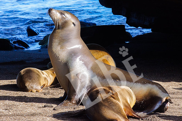PuertoEgas_035_20131110B