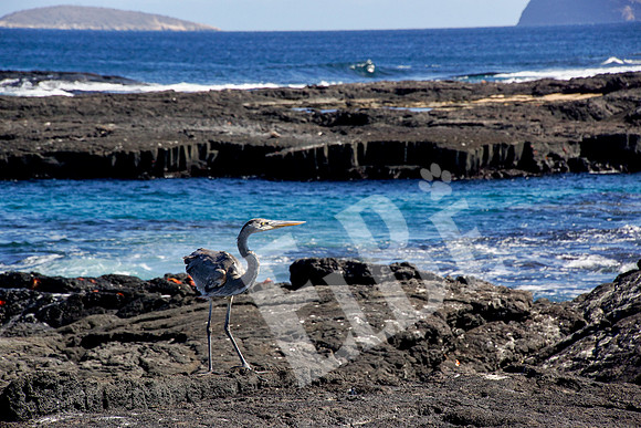 PuertoEgas_398_20131110P