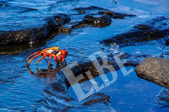 PuertoEgas_334_20131110P