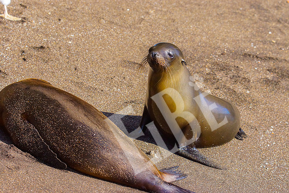 PuertoEgas_026_20131110B