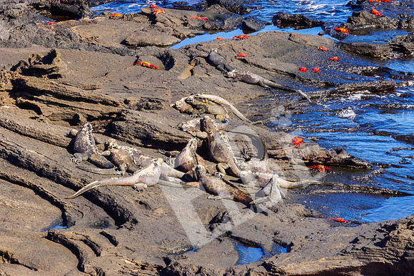 PuertoEgas_075_20131110B