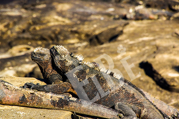 PuertoEgas_283_20131110P