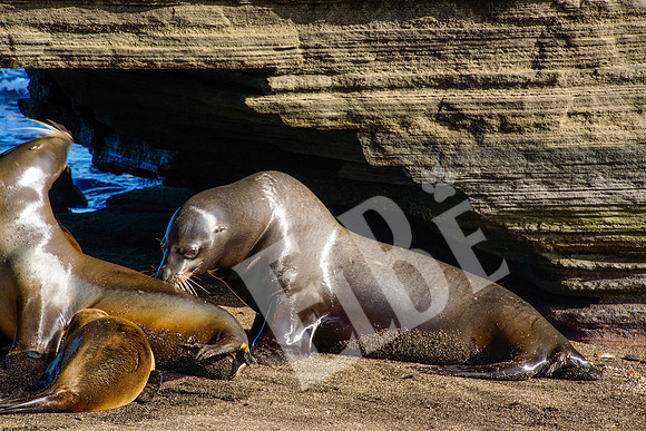 PuertoEgas_228_20131110P