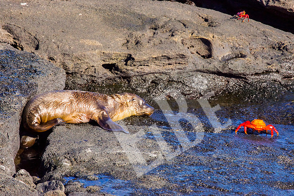 PuertoEgas_076_20131110B