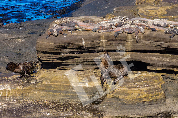 PuertoEgas_071_20131110B