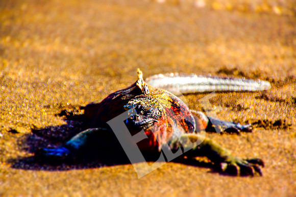 PuertoEgas_193_20131110P