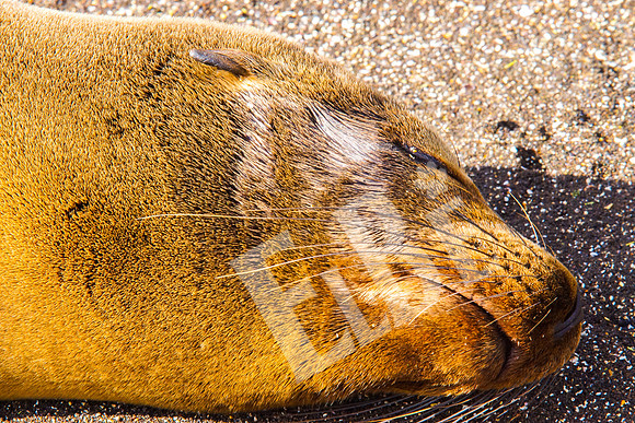 PuertoEgas_017_20131110B