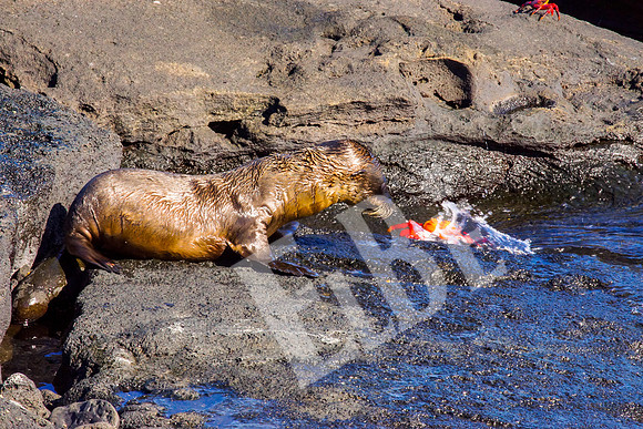PuertoEgas_078_20131110B