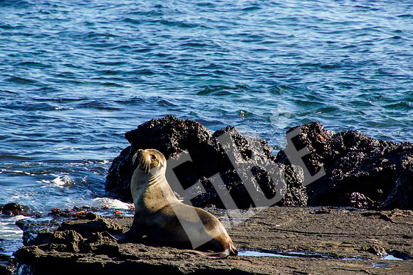 PuertoEgas_279_20131110P