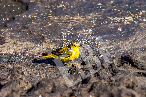 PuertoEgas_147_20131110B