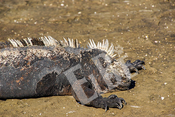 PuertoEgas_367_20131110P