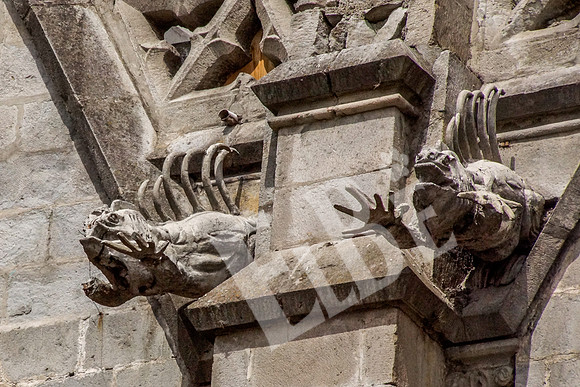 Quito_135_20131109P