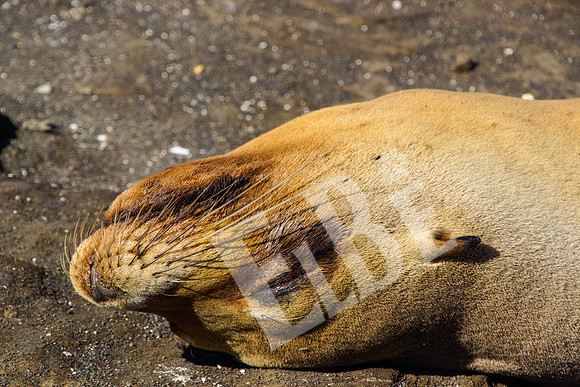 PuertoEgas_310_20131110P