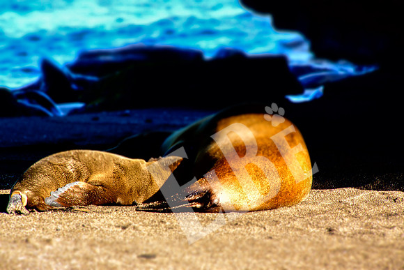 PuertoEgas_198_20131110P