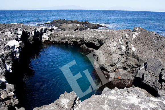 PuertoEgas_384_20131110P