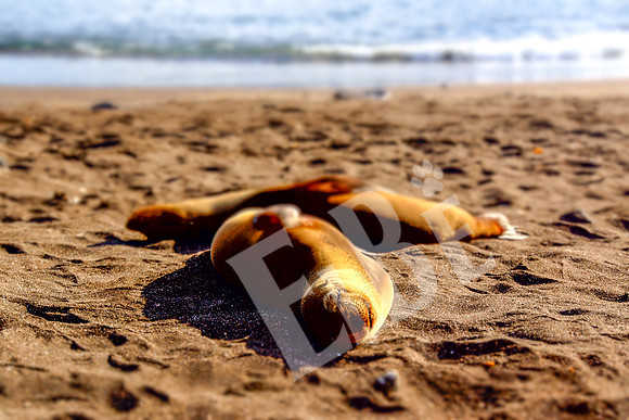 PuertoEgas_178_20131110P