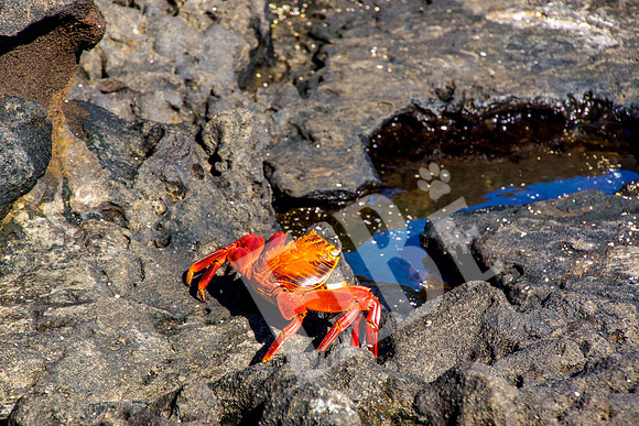 PuertoEgas_318_20131110P