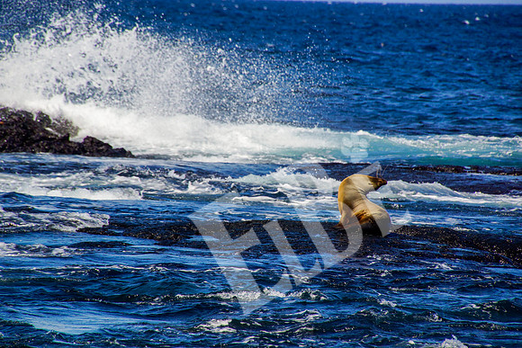 PuertoEgas_366_20131110P