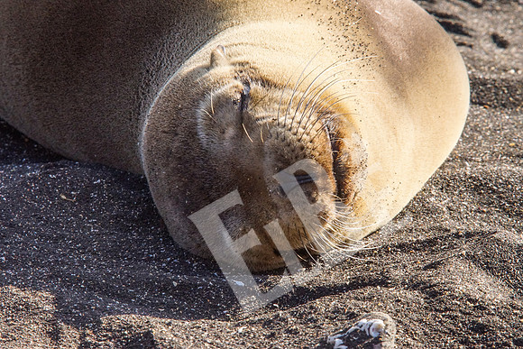 PuertoEgas_002_20131110B