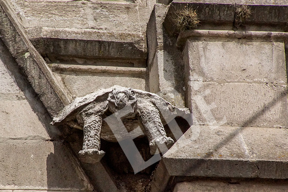Quito_137_20131109P