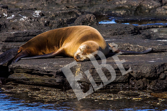 PuertoEgas_103_20131110B