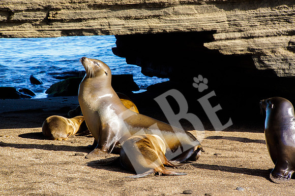 PuertoEgas_221_20131110P