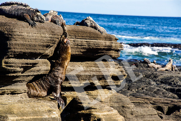 PuertoEgas_293_20131110P