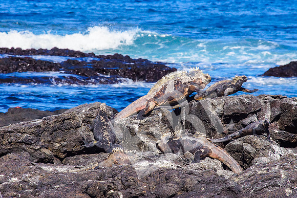 PuertoEgas_167_20131110B