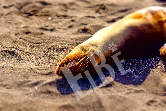 PuertoEgas_179_20131110P