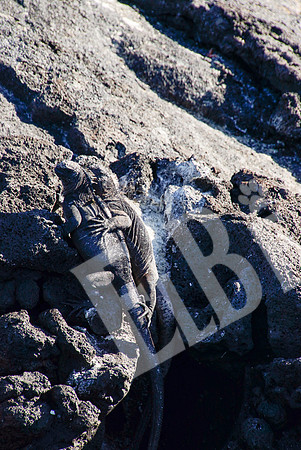 PuertoEgas_390_20131110P