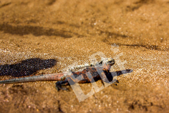 PuertoEgas_186_20131110P