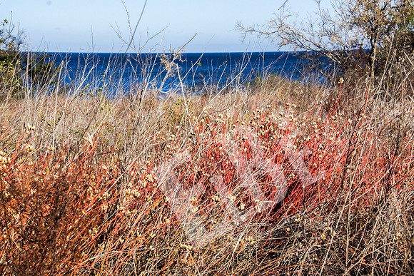 PuertoEgas_262_20131110P