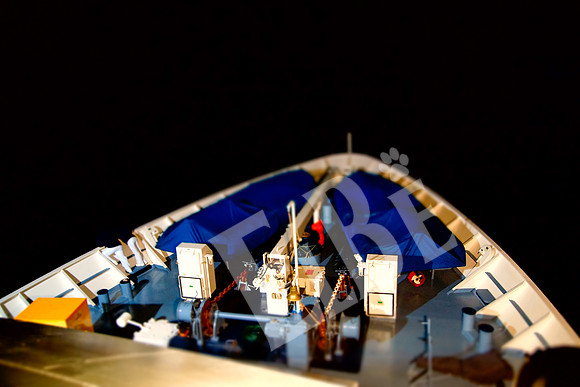 Daphne_037_20131109
