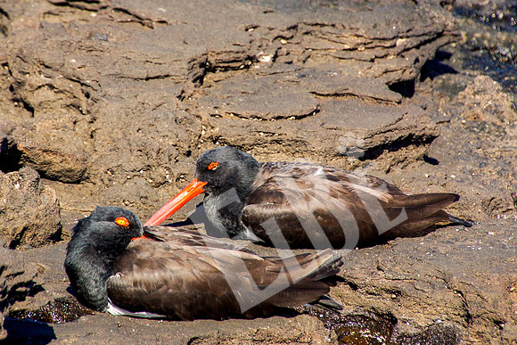 PuertoEgas_353_20131110P