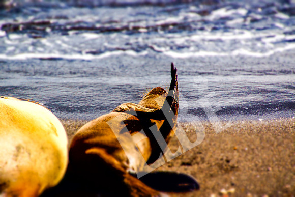 PuertoEgas_192_20131110P