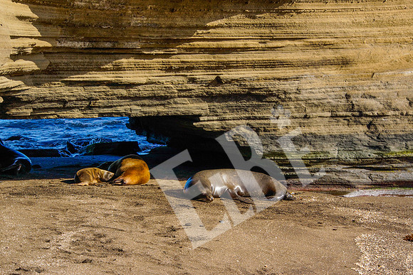 PuertoEgas_232_20131110P