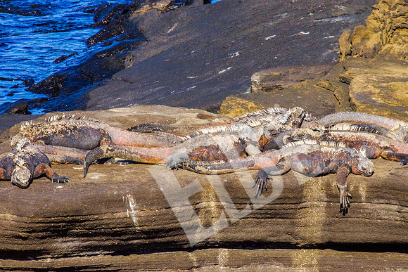 PuertoEgas_070_20131110B