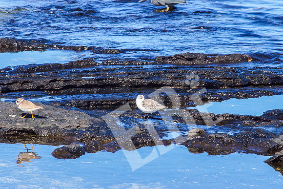 PuertoEgas_173_20131110B