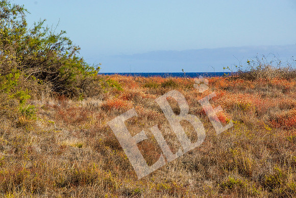 PuertoEgas_248_20131110P
