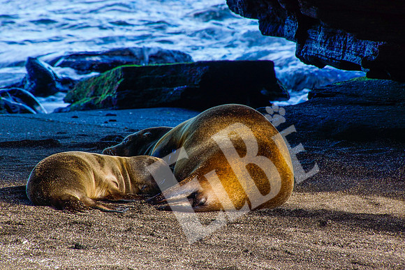 PuertoEgas_229_20131110P