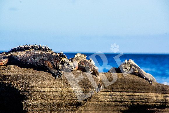 PuertoEgas_291_20131110P