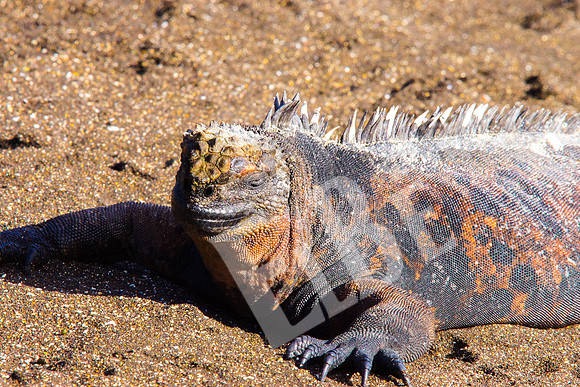 PuertoEgas_008_20131110B