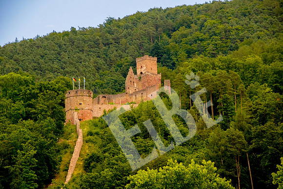 711_068_Wertheim