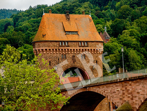 711_071_Wertheim