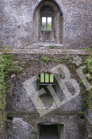 Ireland_817_20110803