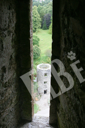 Ireland_818_20110803